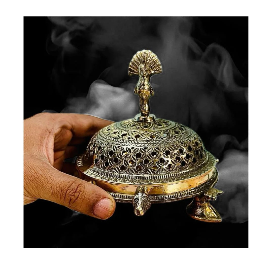 Dhoop Dani Tortoise