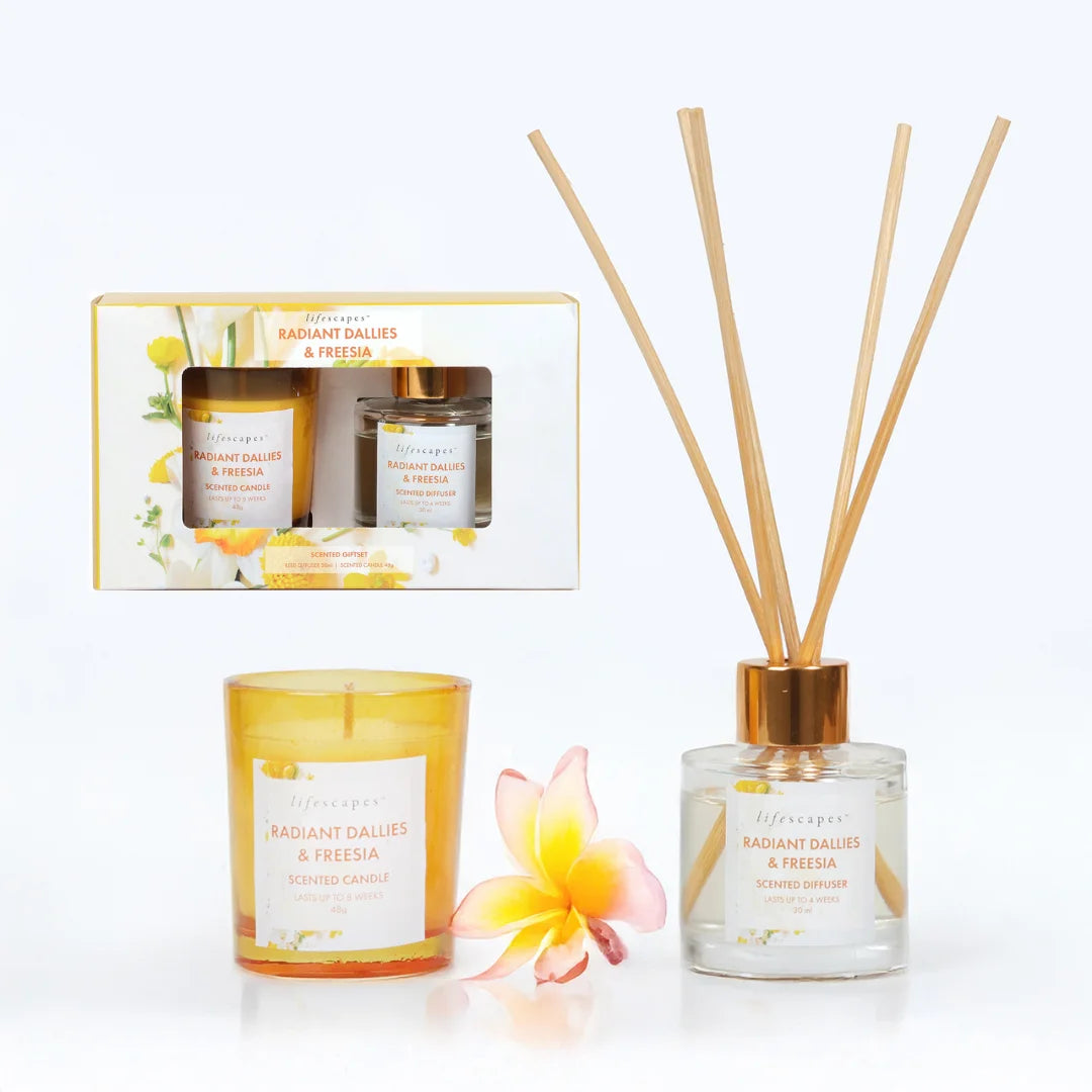 Gift pack - Radiant Dallies and Freesia